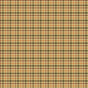 Harvest Gathering by Dianna Swartz - Plaid Light Orange Multi - 1 Yard