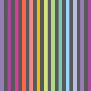 Tula Pink Graywork - Disco Stripe Carbon - 1 Yard
