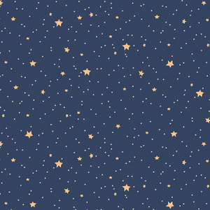 Twilight Night Sky - Dear Stella Nativity Advent Christmas Collection